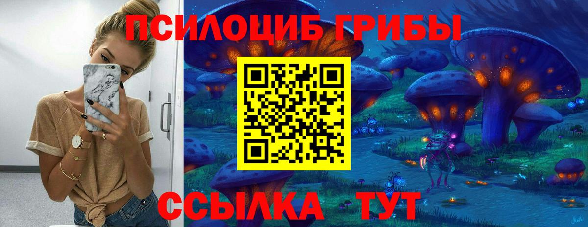 Ишим  Галлюциногенные грибы MAGIC MUSHROOMS  Псилоцибиновые грибы Cubensis  Вход с VPN 